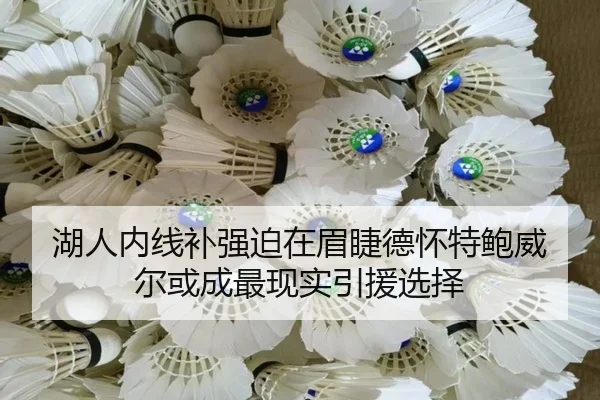 湖人内线补强迫在眉睫德怀特鲍威尔或成最现实引援选择
